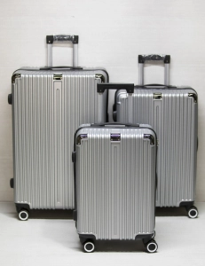 Silver luggage small size