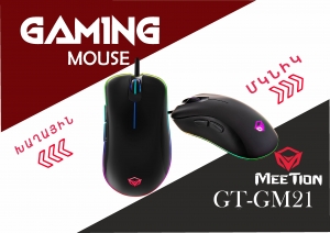 Խաղային մկնիկ GT- GM21 Gaming Mouse