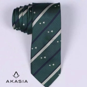 Neckties N041