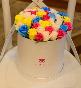 Coco fiori Rose Colorate