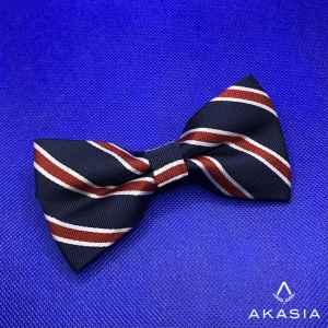 Neckties N017